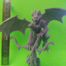 Picture of print of Kobold Winged - B