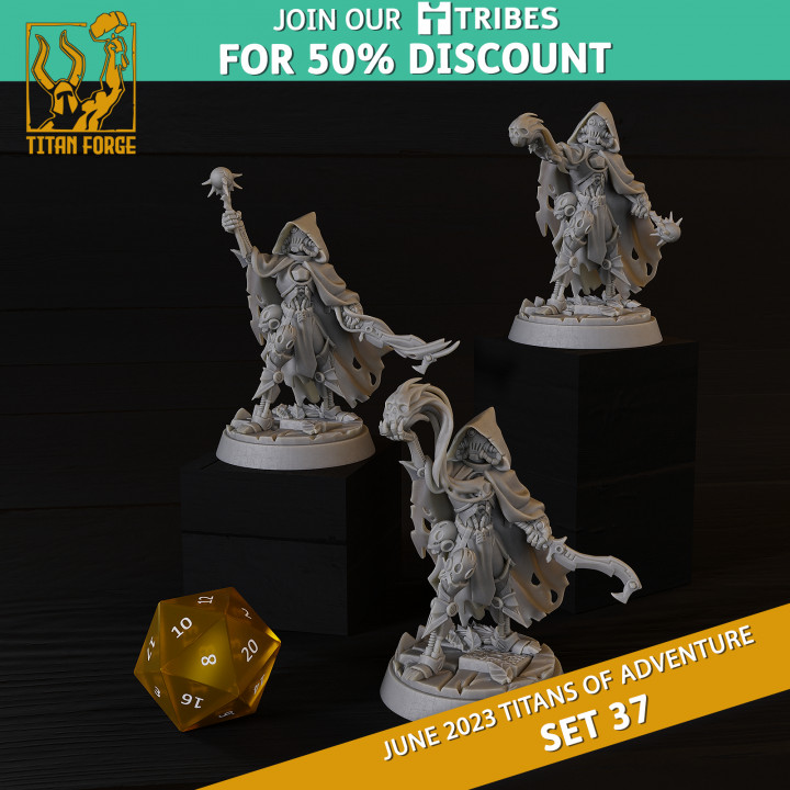 RPG - DnD Hero Characters - Titans of Adventure Set 37