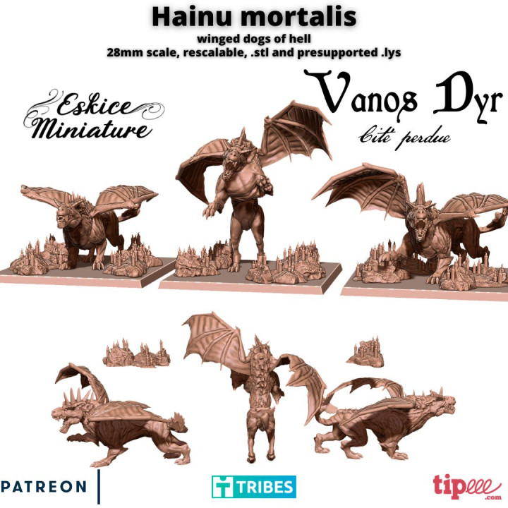 Hainu Mortali, winged dogs of hell - 28mm image