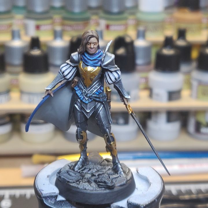 3D Print of Esther, the Griffon Knight - Elf Paladin by