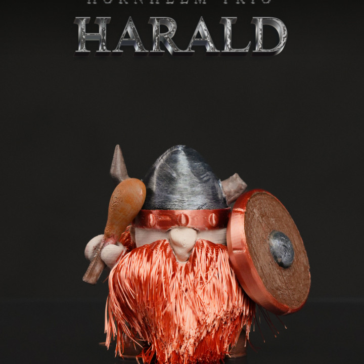 Hornhelm Trio - Harald image