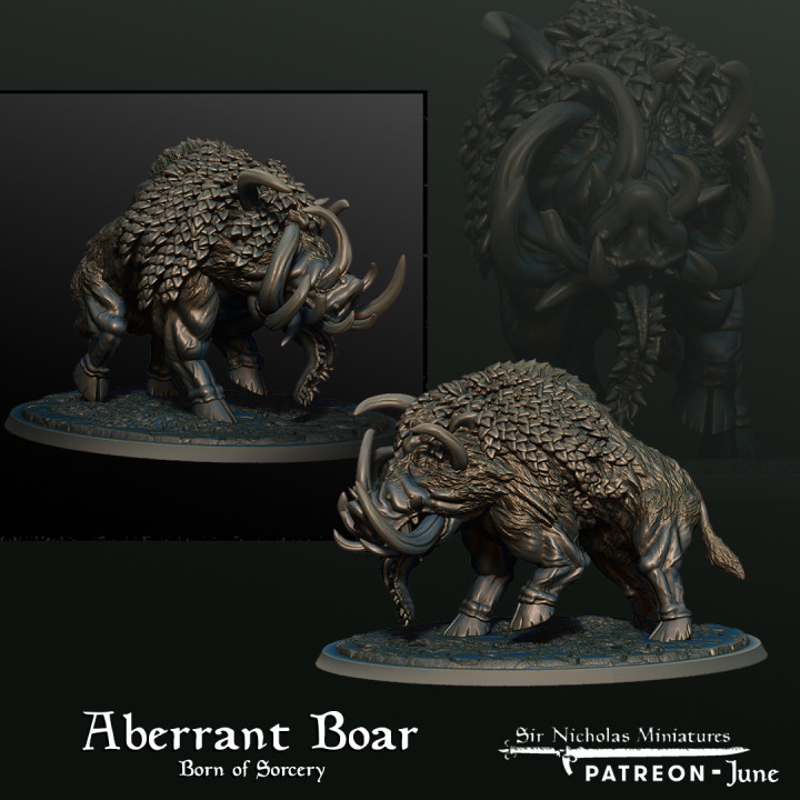 Aberrant Boar image