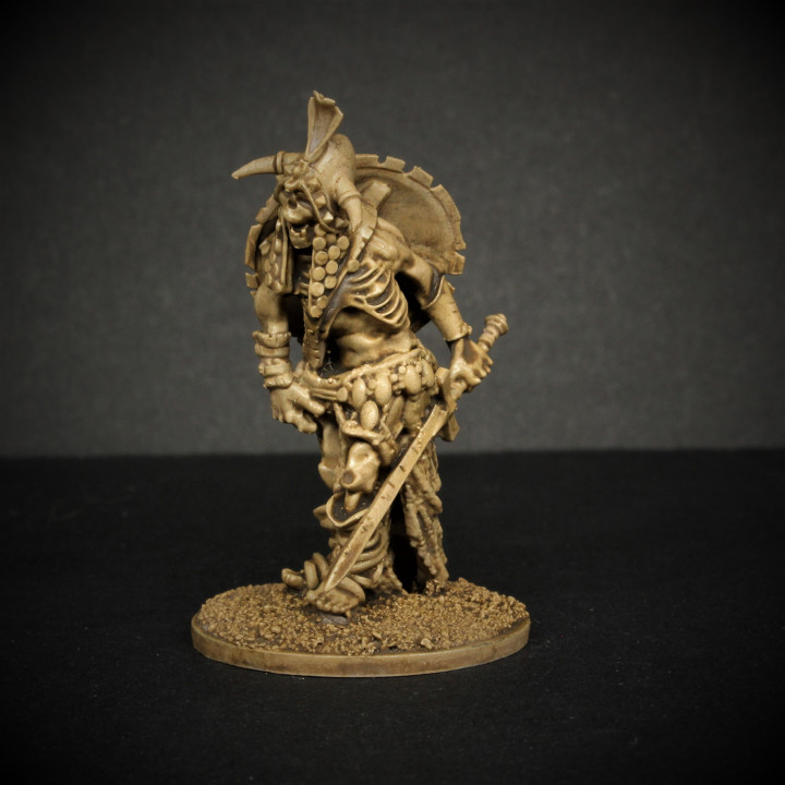 Undead Champion image