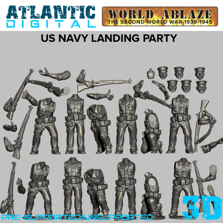 WW2 US Navy Landing Party image