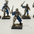 Modular Swords for hire : Elite mercenaries  [PRE-SUPPORTED] print image