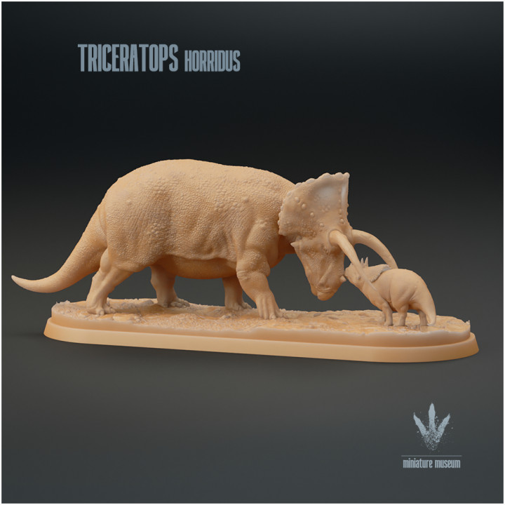 Triceratops horridus : Three-horned Face