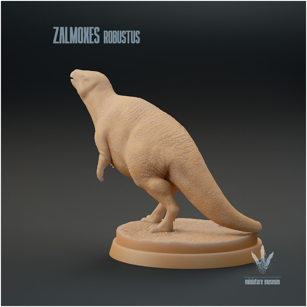 3D Printable Zalmoxes robustus : The Little Ornithopod by