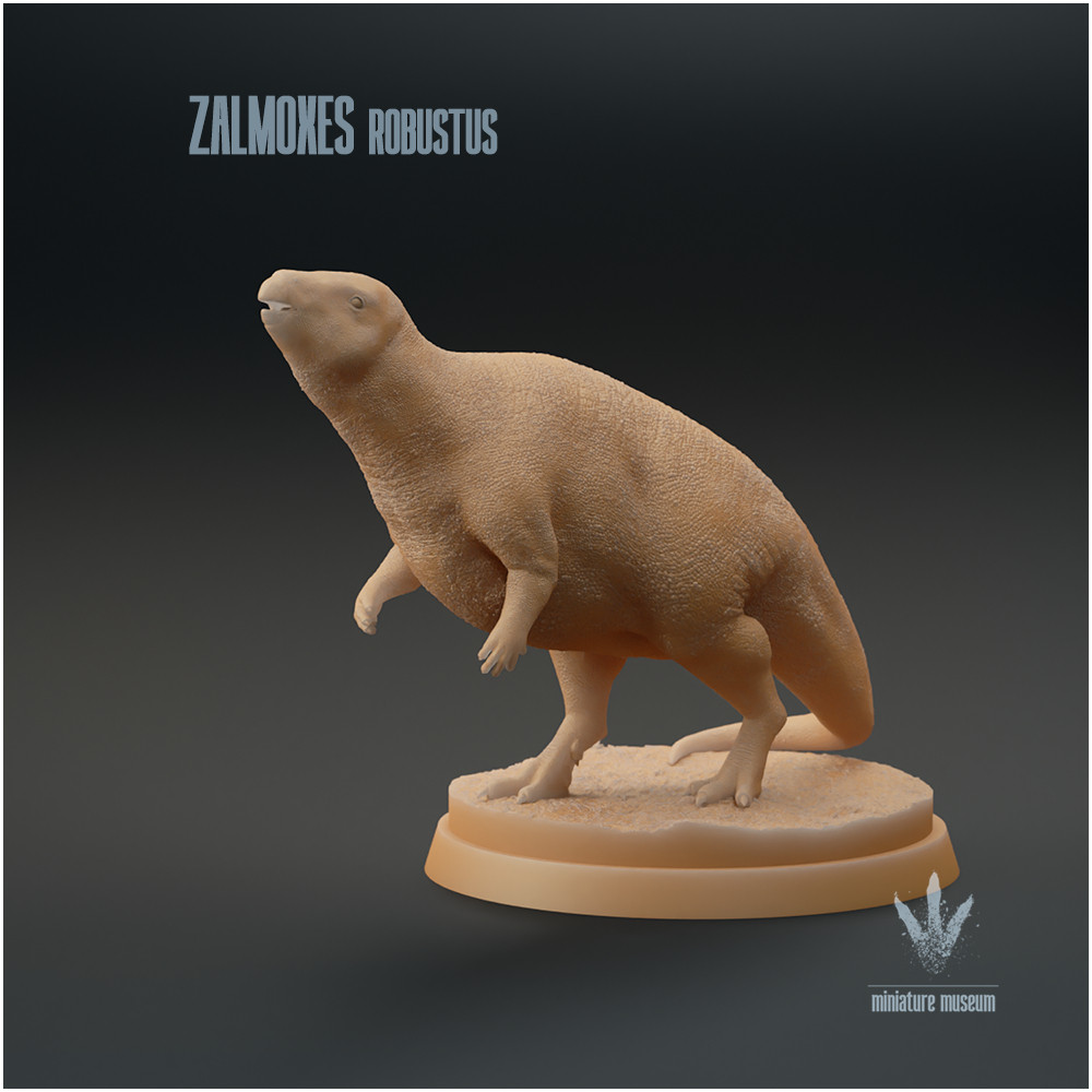 置物 Rare Species 3D Printable Zalmoxes robustus : The Little Ornithopod by
