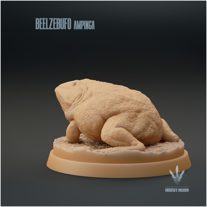 Beelzebufo ampinga : The Devil Toad image