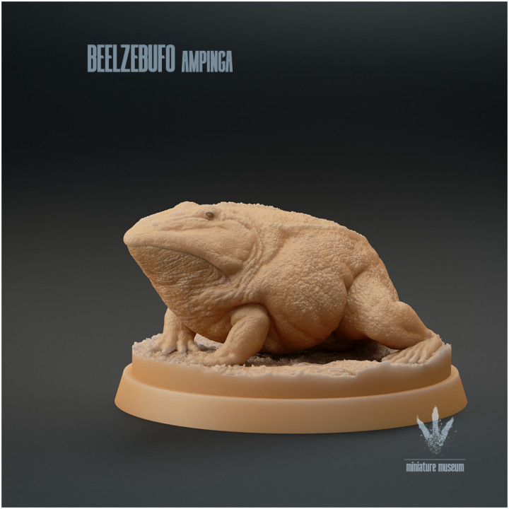 Beelzebufo ampinga : The Devil Toad image