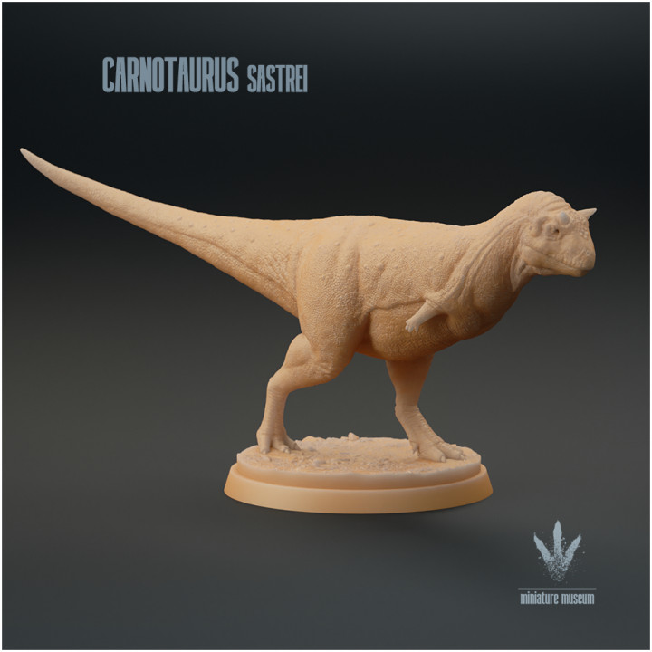 Carnotaurus sastrei : The Meat Bull