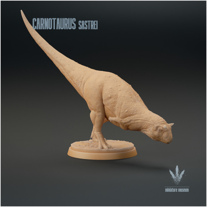 Carnotaurus sastrei : Display