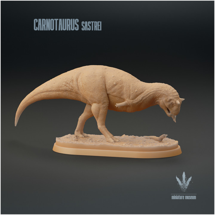 Carnotaurus sastrei : Cleaning