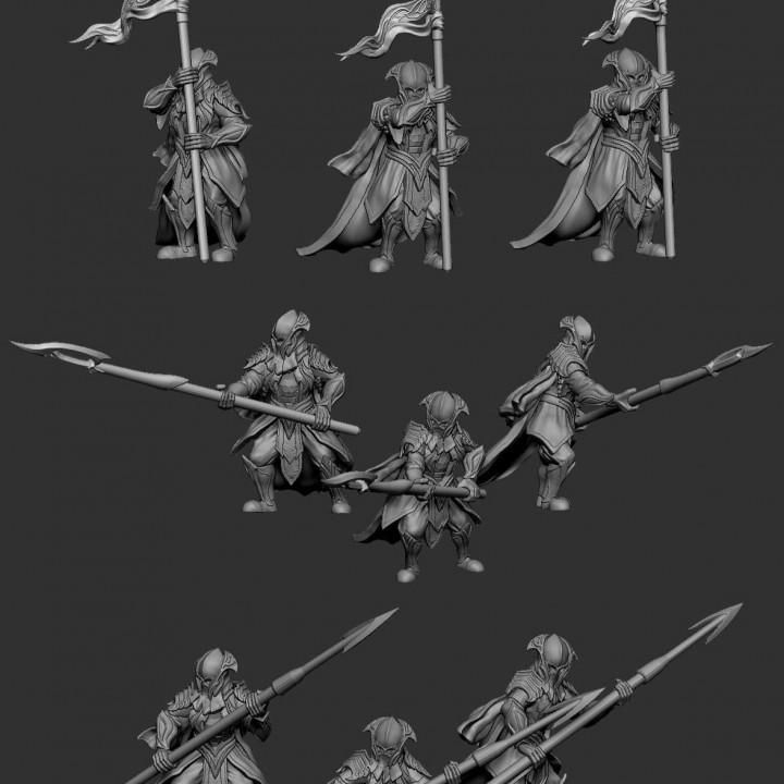 Elven Royal Guard( bannerman and pikeman) image