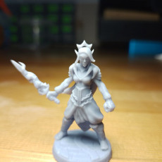 Picture of print of Kaelnyra, Renegade Master of the Void Riders
