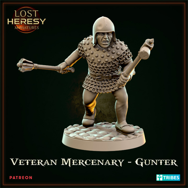 Veteran Mercenary - Gunter image