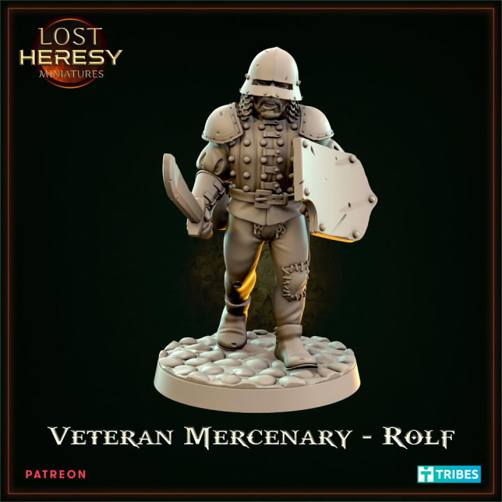 Veteran Mercenary - Rolf image