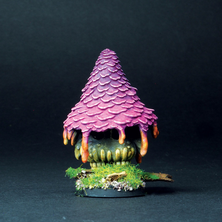 Witching mushroom image