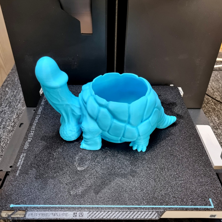 Dicky Turtle Flowerpot B