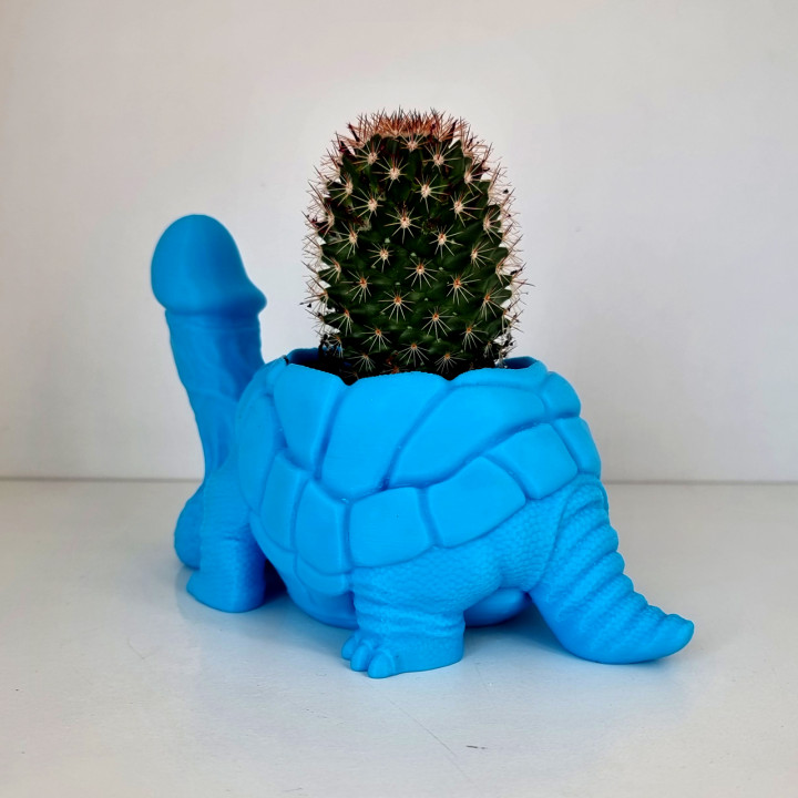 Dicky Turtle Flowerpot B image