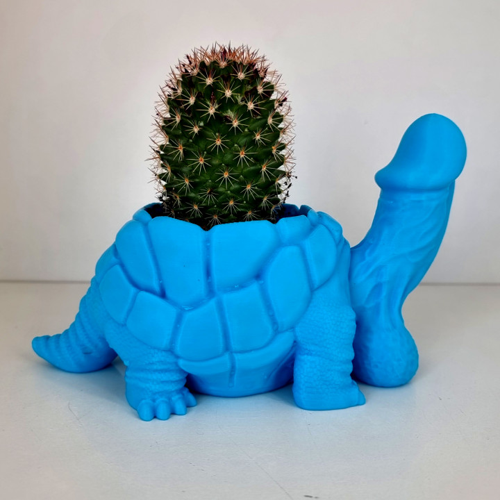 Dicky Turtle Flowerpot B image