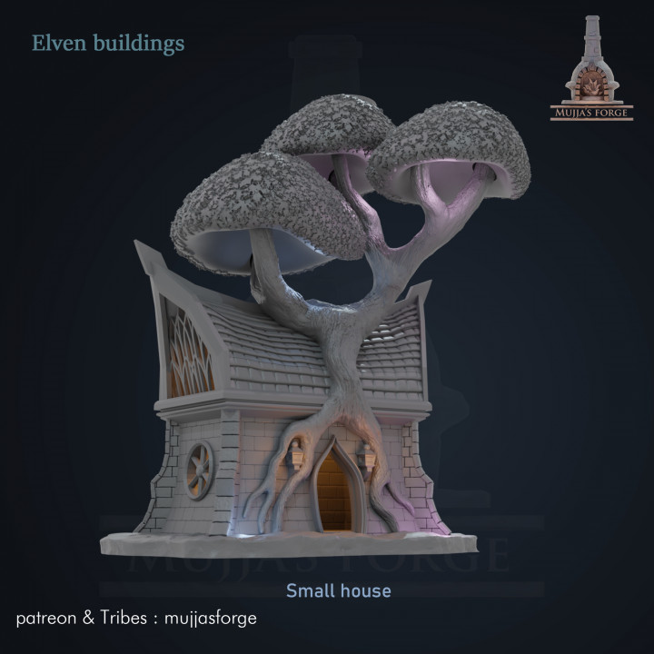 Elven-small house