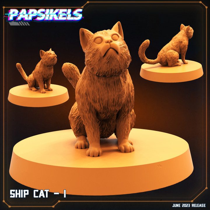 SHIP CAT - I image