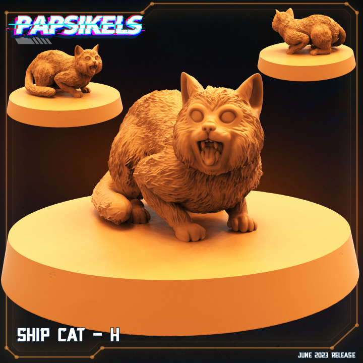 SHIP CAT - H image