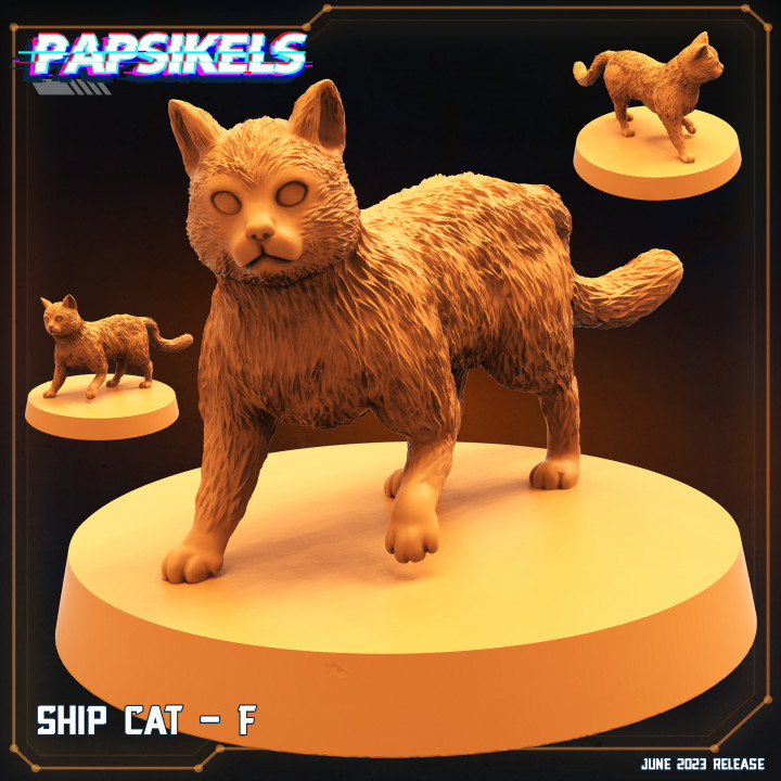 SHIP CAT - F image