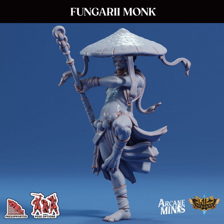 Fungarii Monk image