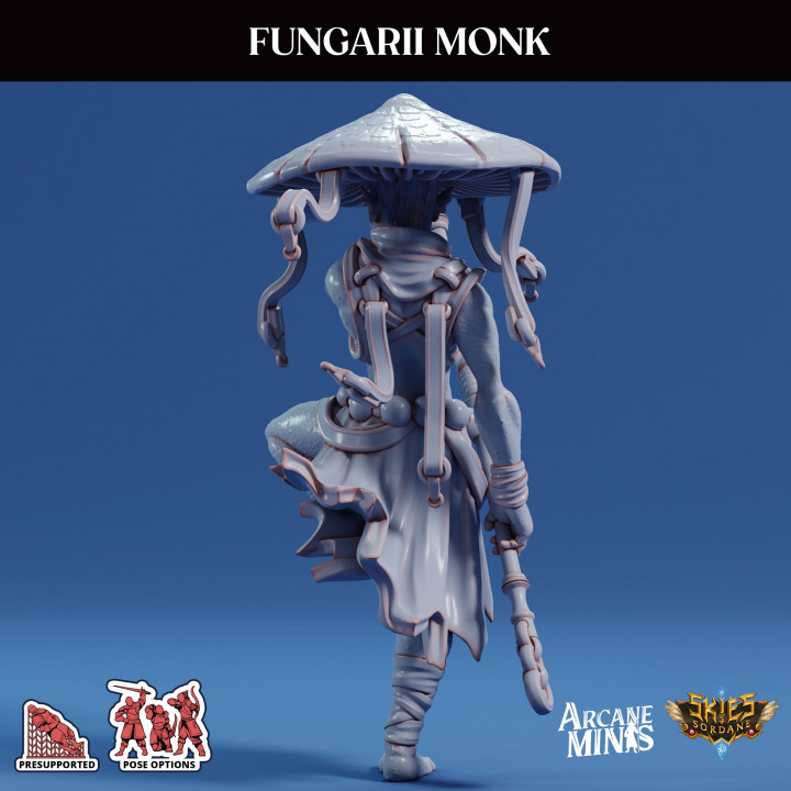 Fungarii Monk image