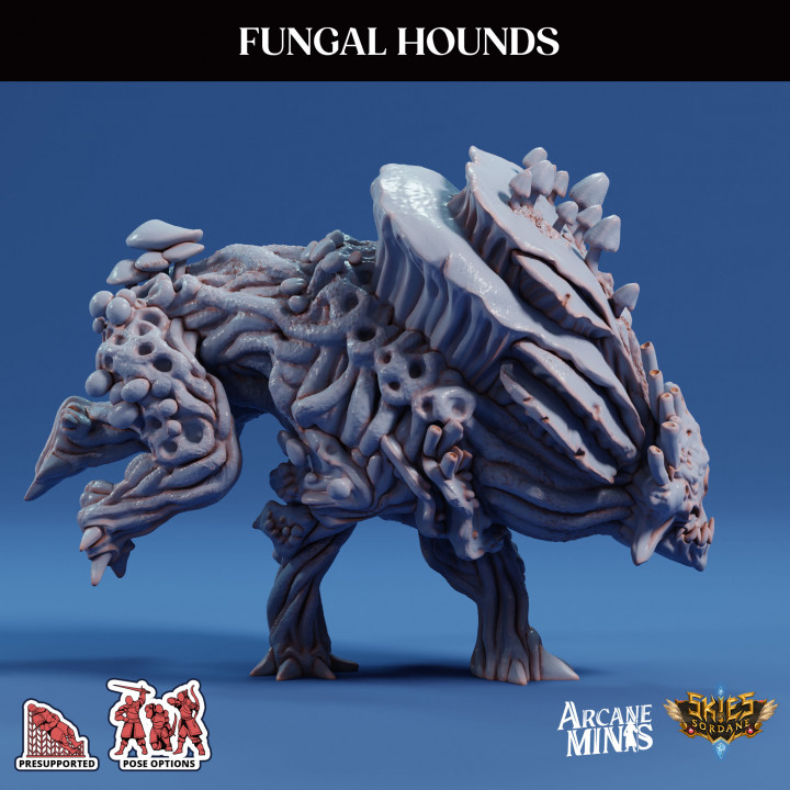 Fungal Hounds image