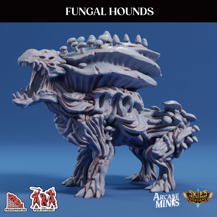 Fungal Hounds image
