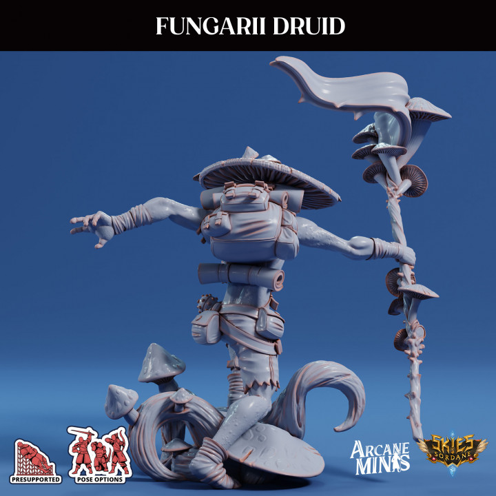 Fungarii Druid image