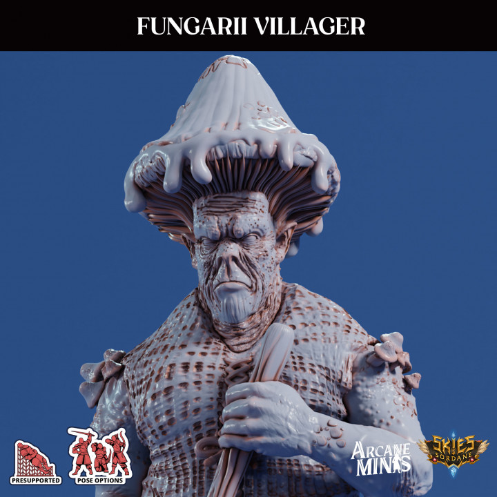 Fungarii Villager 1 image