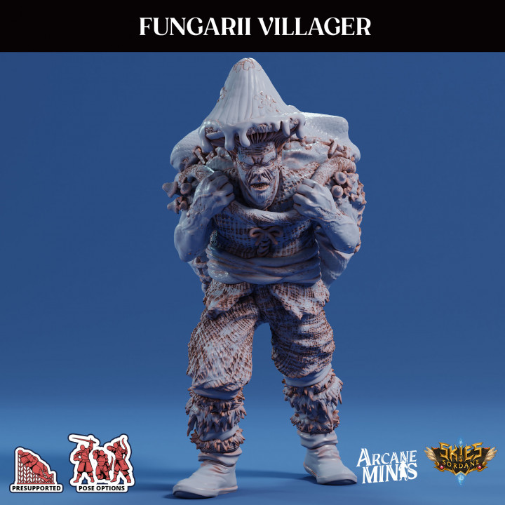Fungarii Villager 1 image