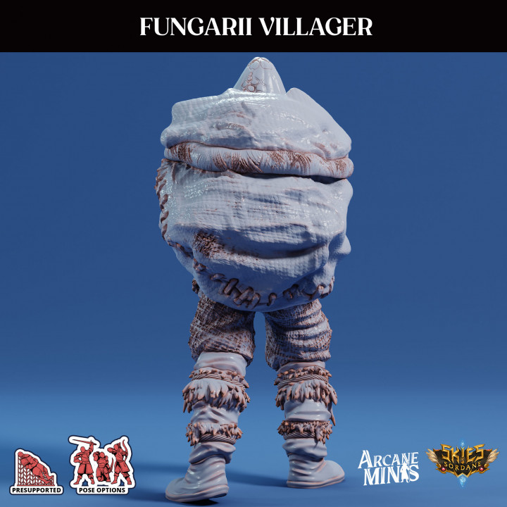 Fungarii Villager 1 image