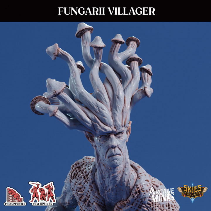 Fungarii Villager 2 image