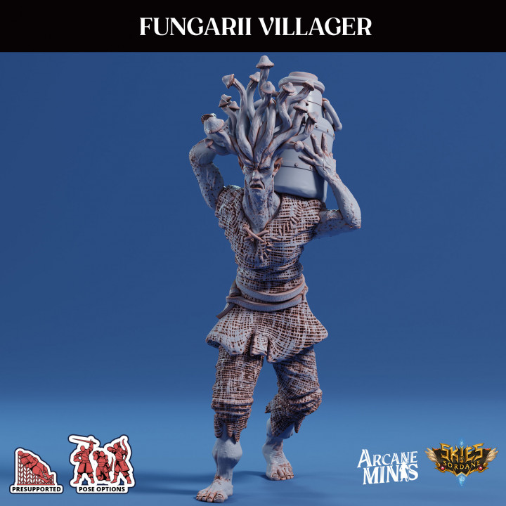 Fungarii Villager 2 image