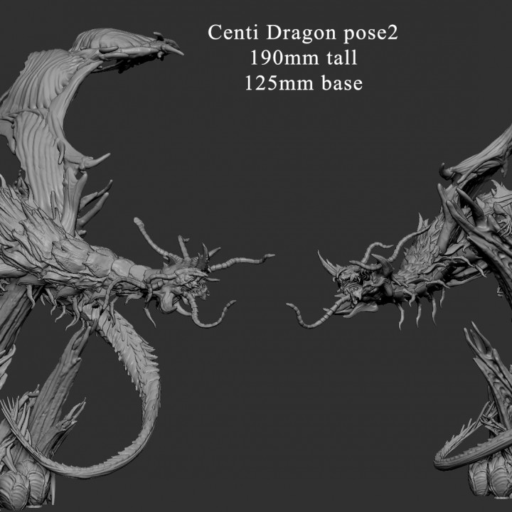 CentiDragon (2023 new pose(2))