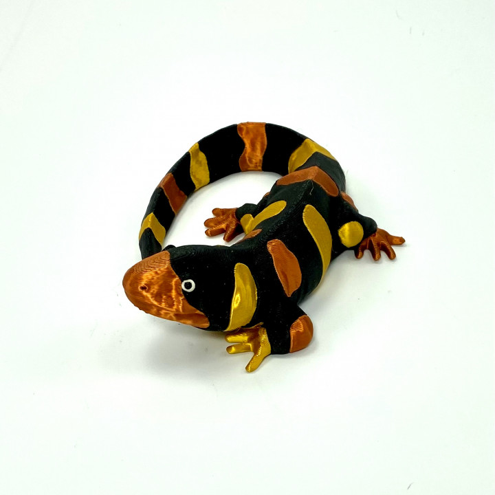 Barred Tiger Salamander (multi colour model) image