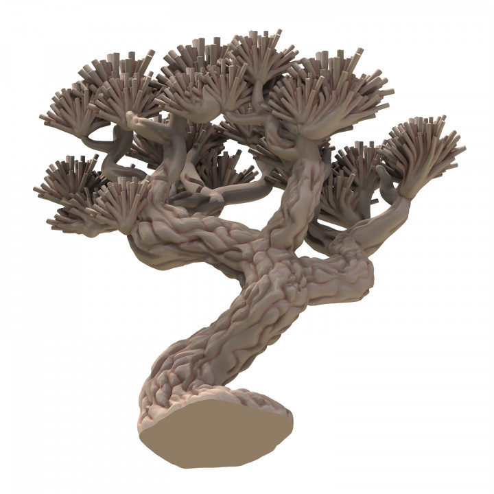 004 PLANT Japanese Black Pine Tree Scatter Terrain