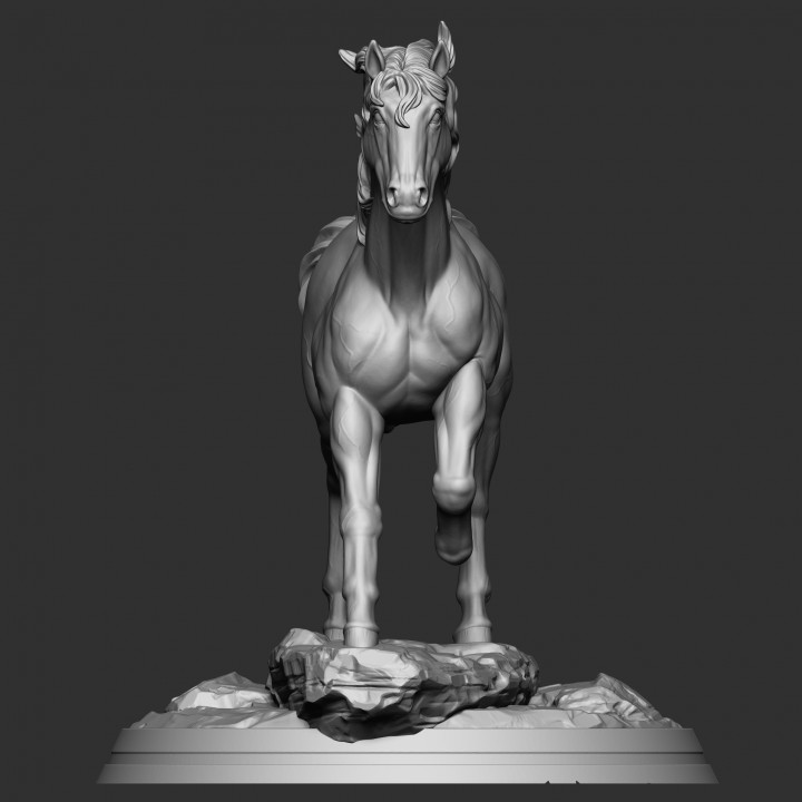 Horse image