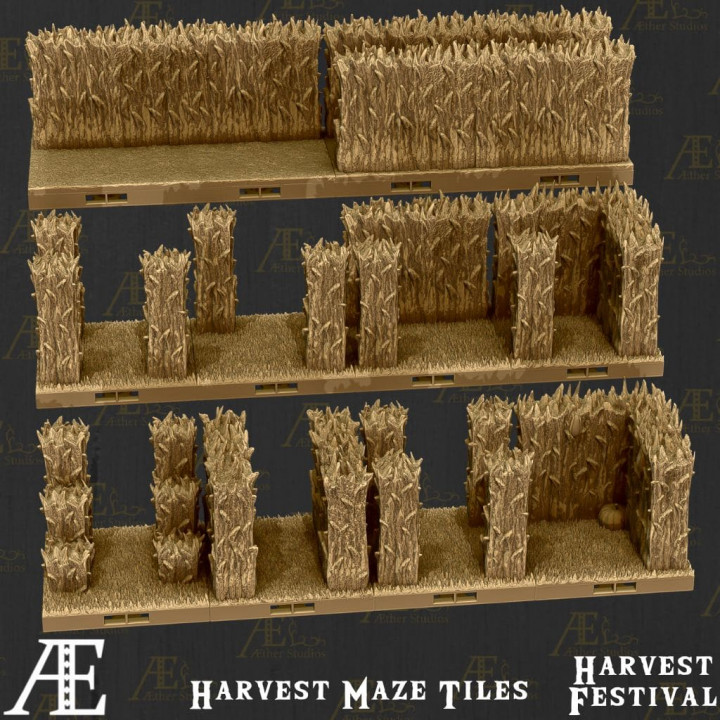 AEWEEN05 – Harvest Festival image