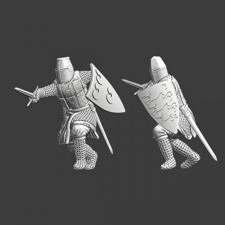 Medieval Scandinavian Knights in battle image