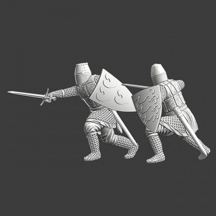 Medieval Scandinavian Knights in battle image