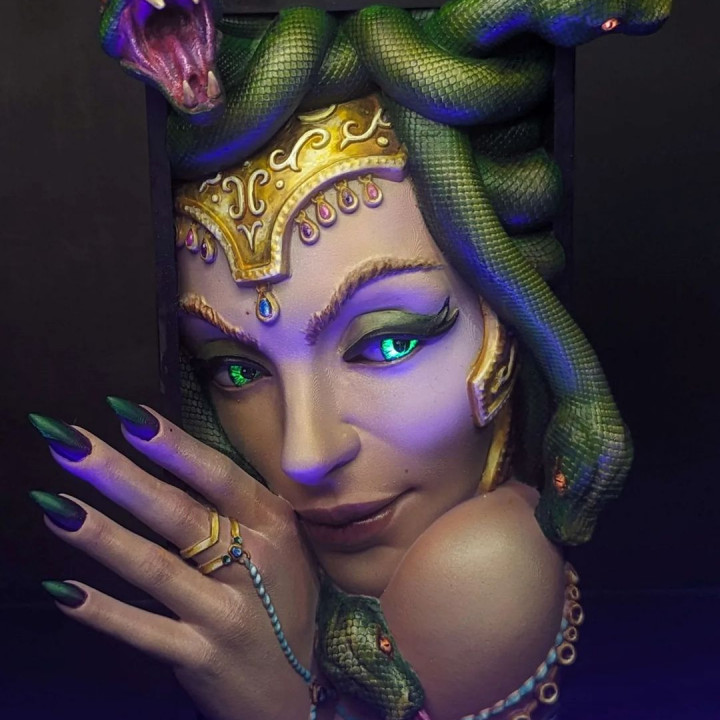 Medusa [BOOK NOOK] image