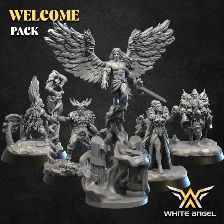 WELCOME PACK image