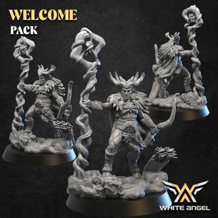 PRINCE OF THE FOREST - WELCOME PACK image
