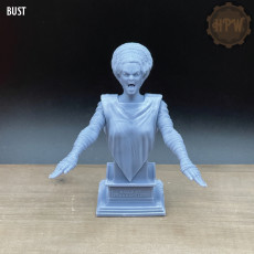 Picture of print of bride of Frankenstein + bust